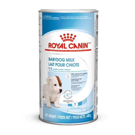 RC SHN Babydog Milk