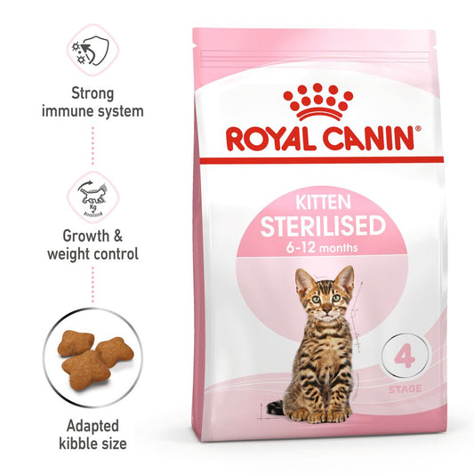 RC FHN Kitten Sterilised