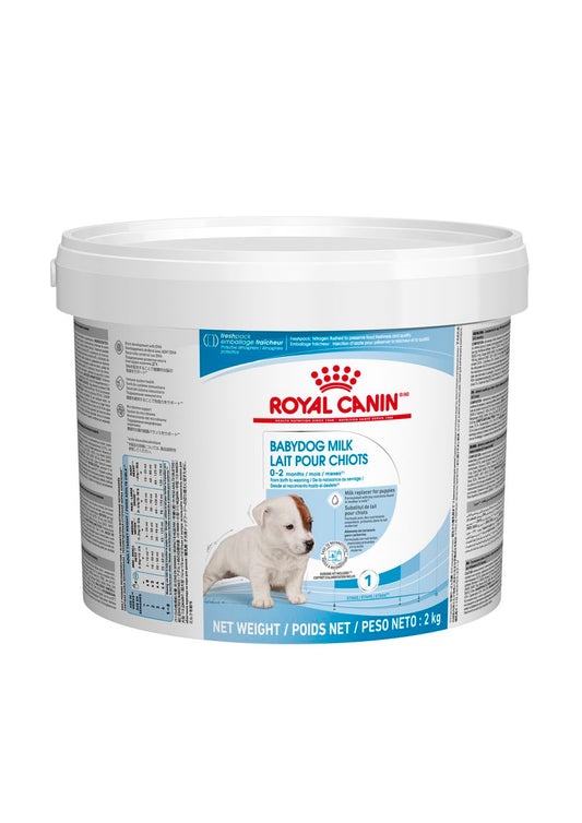 RC SHN Babydog Milk