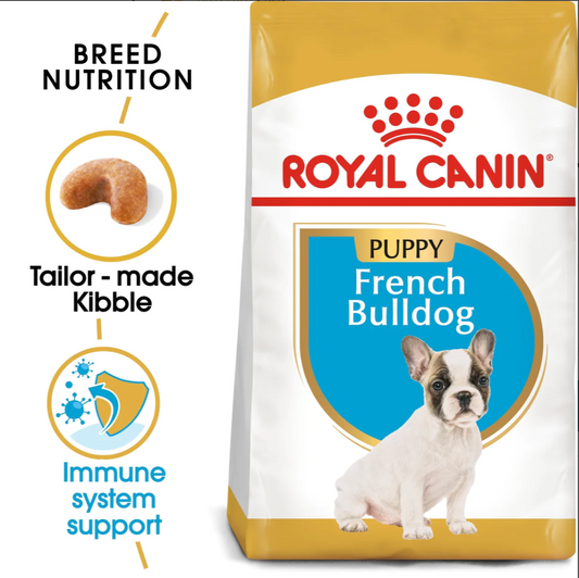 RC BHN Dog French Bulldog Puppy