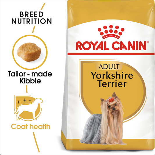 RC BHN Dog Yorkshire Terrier Adult