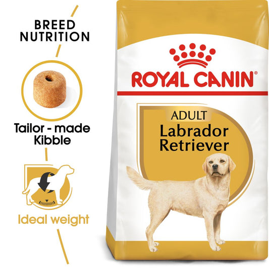 RC BHN Dog Labrador Retriever Adult