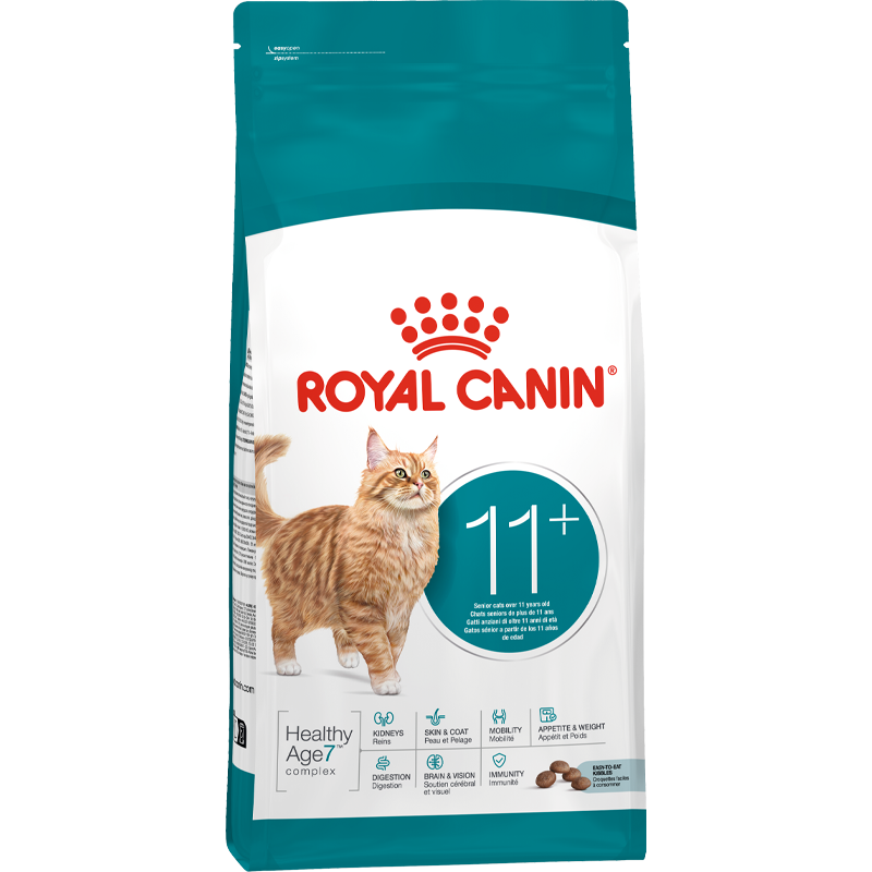 RC FHN Cat Ageing 11+
