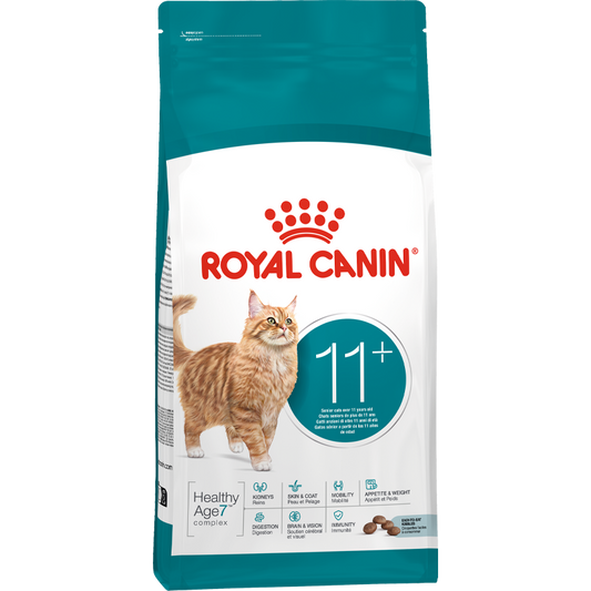 RC FHN Cat Ageing 11+