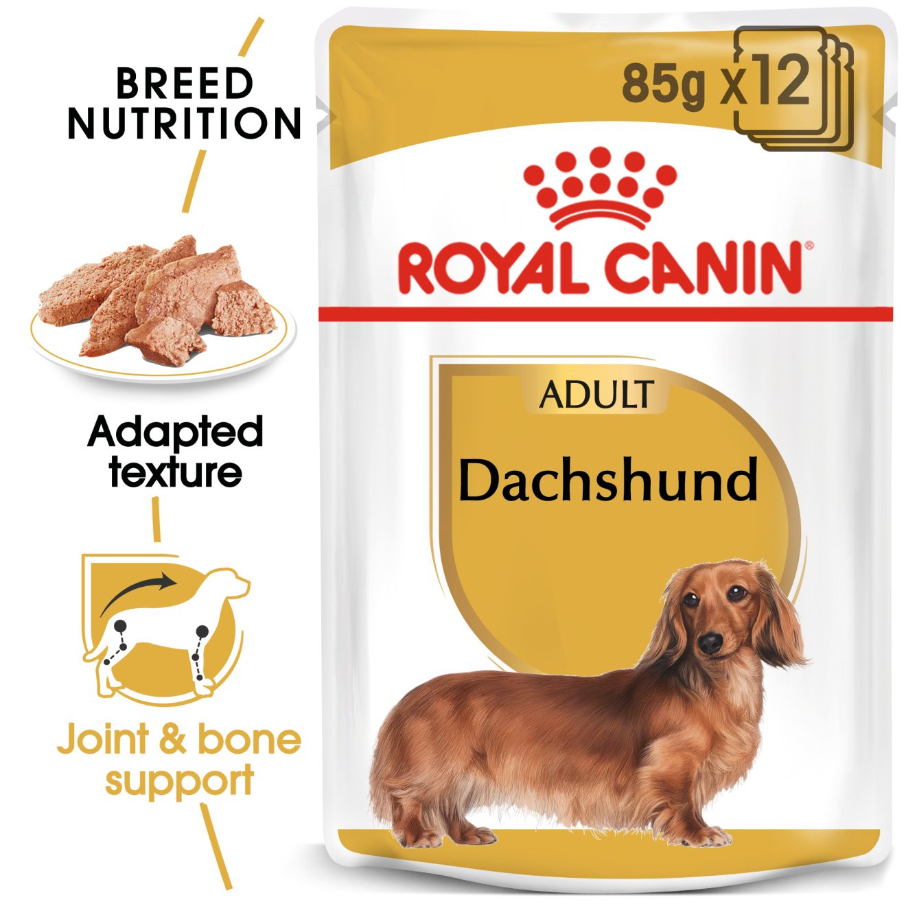 RC BHN Dog Dachshund Blautfóður Adult