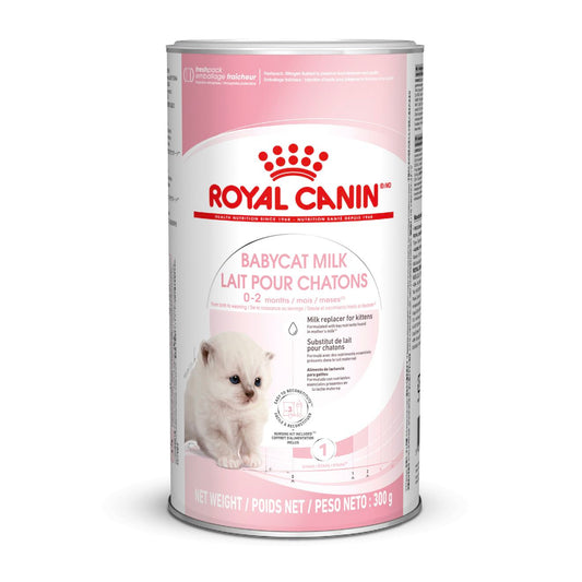 RC FHN Babycat Milk