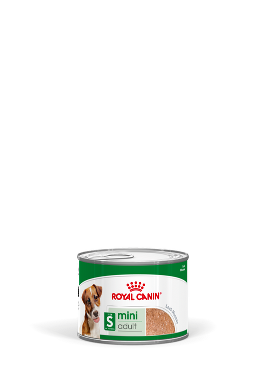 RC SHN Dog Mini Adult Blautfóður