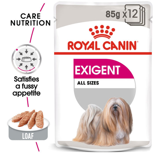RC CCN Dog Exigent Blautfóður