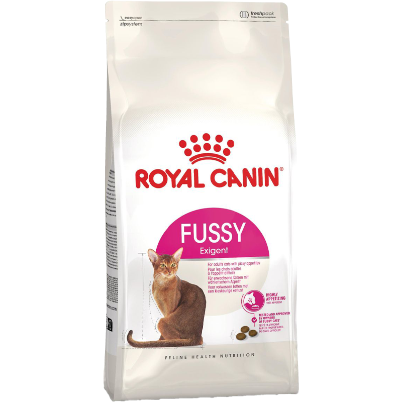 RC FHN Cat Fussy