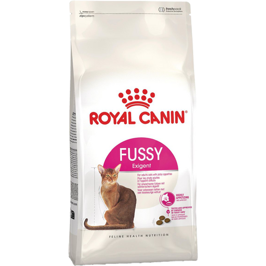 RC FHN Cat Fussy