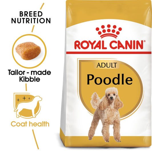 RC BHN Dog Poodle Adult