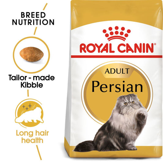 RC FBN Cat Persian Adult