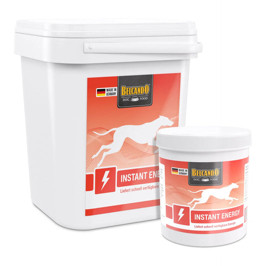 Belcando Instant Energy