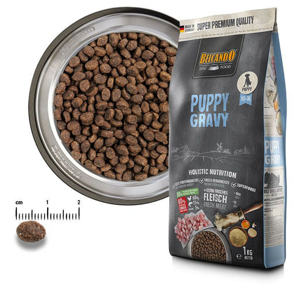 Belcando Puppy