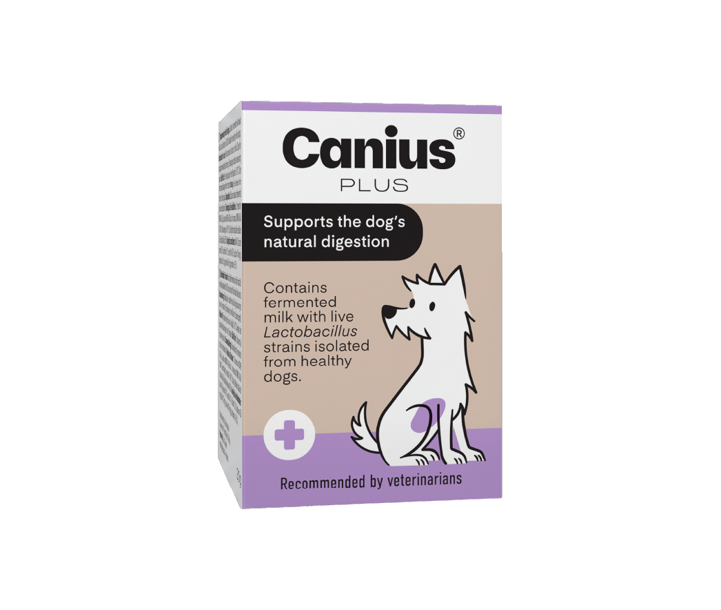 Canius Plus