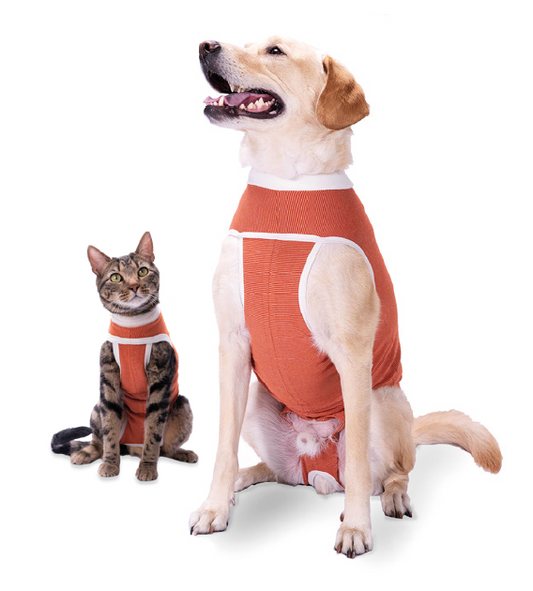 Luna & Milo Copperbody Classic Galli