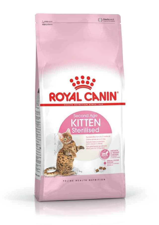 RC FHN Kitten Sterilised