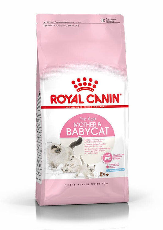 RC FHN Mother & Babycat