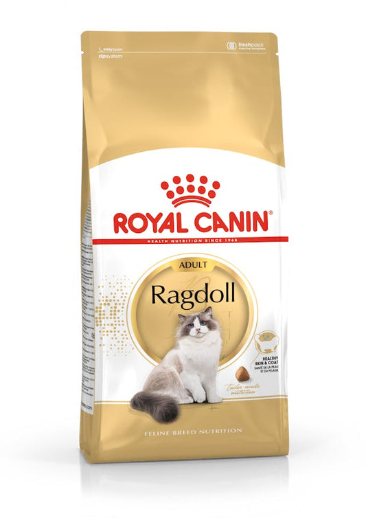RC FBN Cat Ragdoll Adult