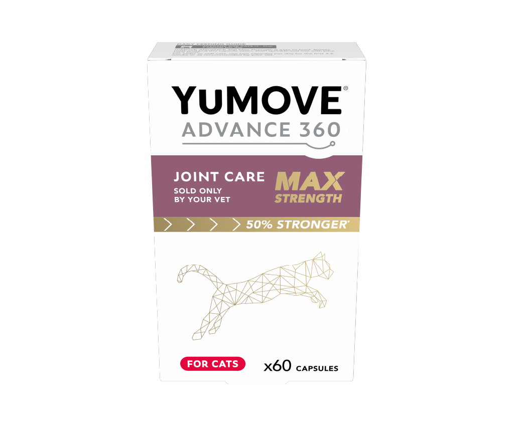 YuMOVE Advance 360 - Max Strength fyrir ketti