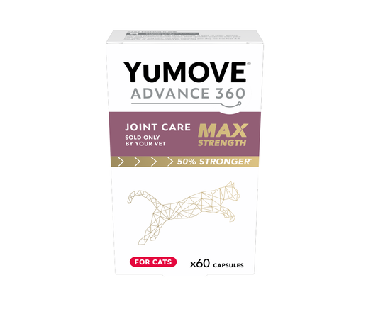 YuMOVE Advance 360 - Max Strength fyrir ketti